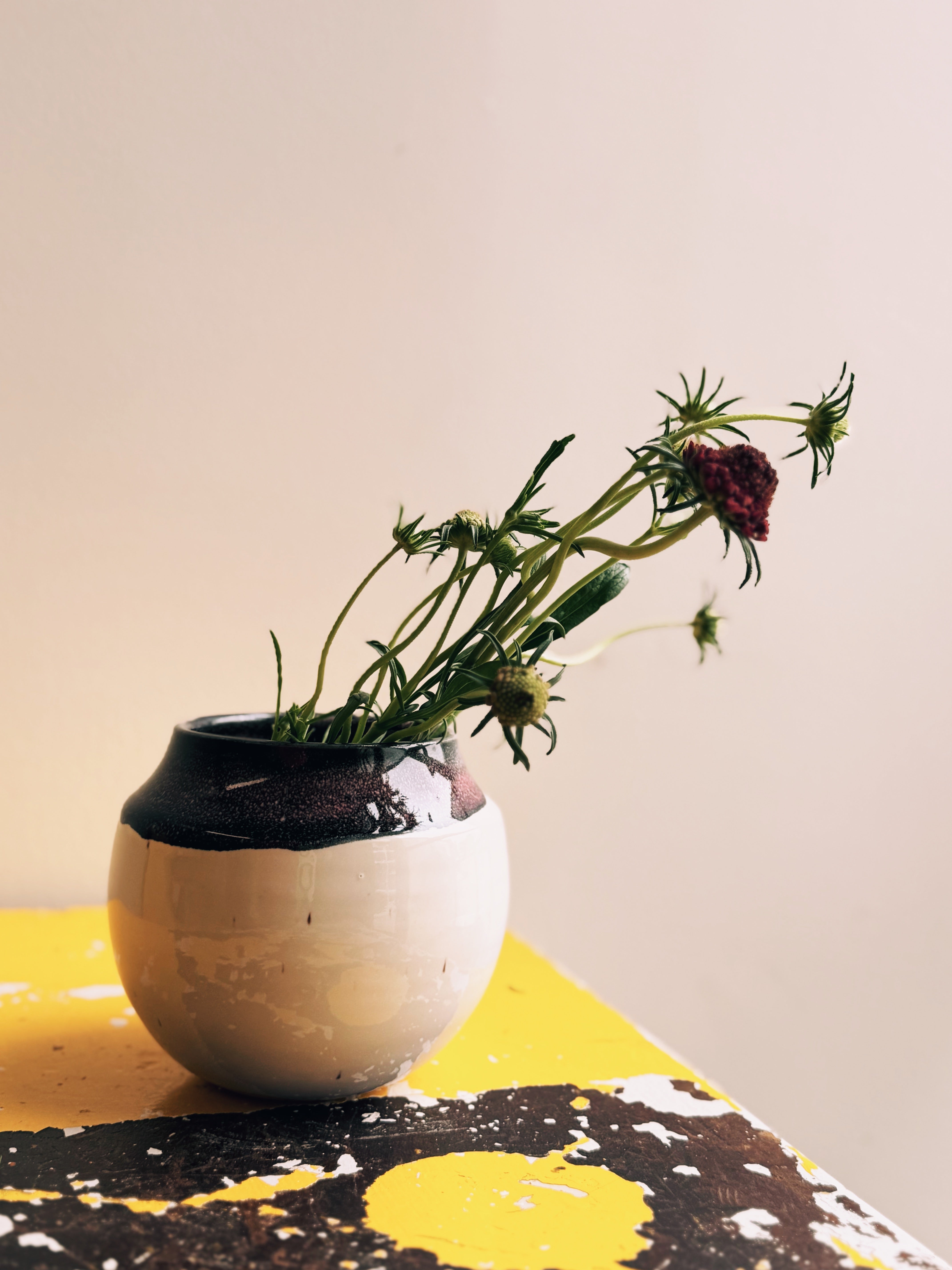 Black & White Vase 001