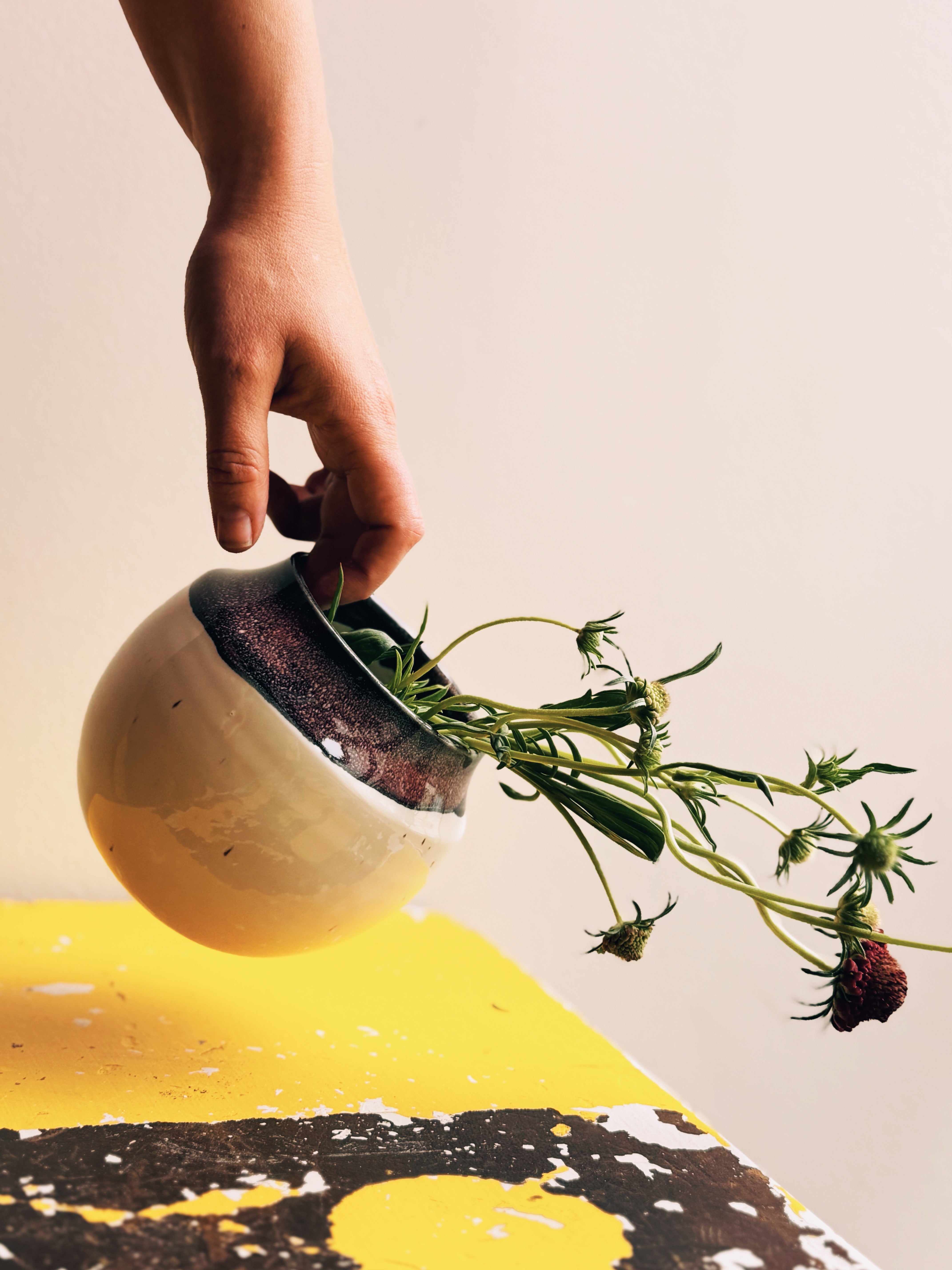 Black & White Vase 001