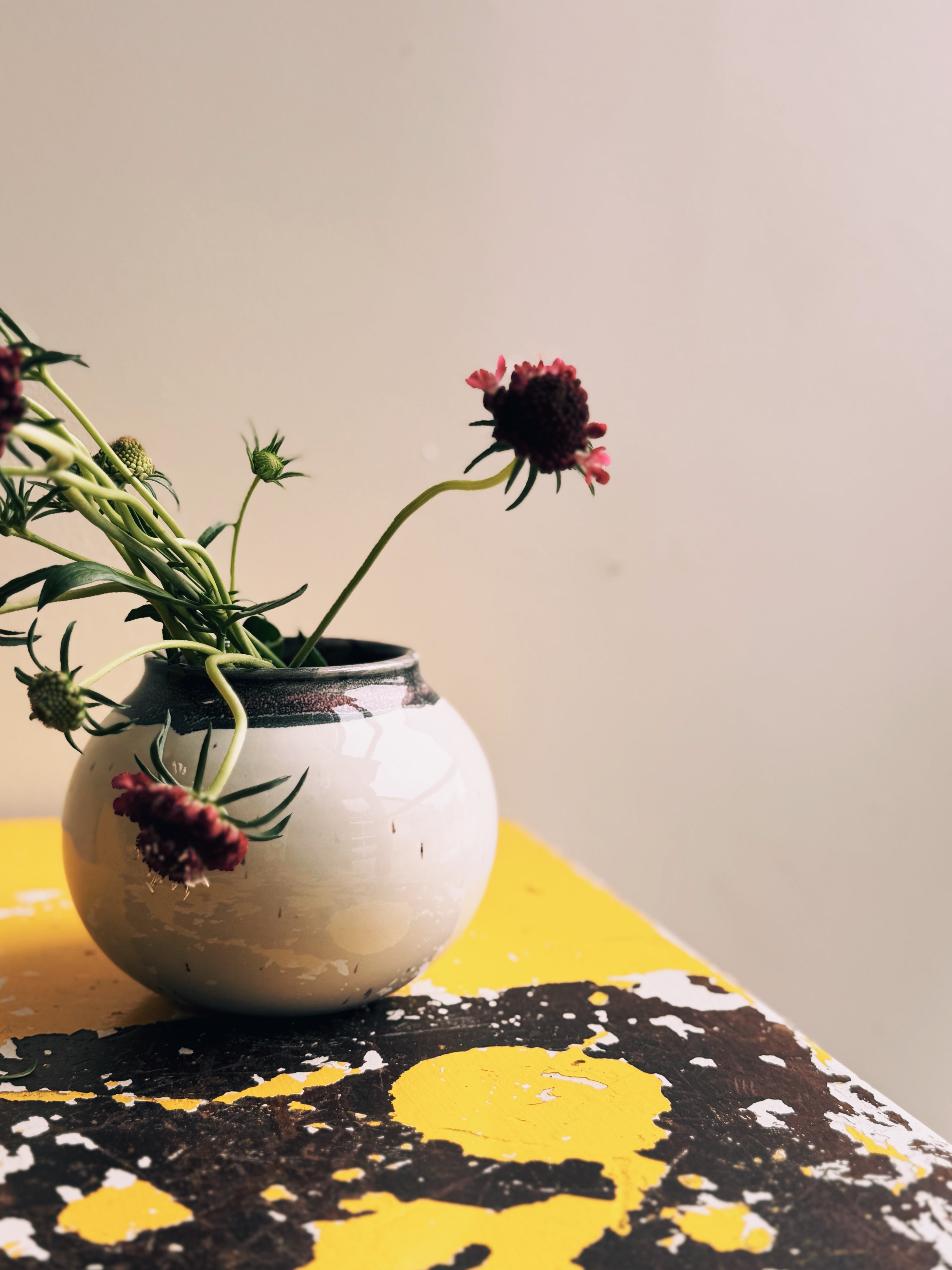 Black & White Vase 002