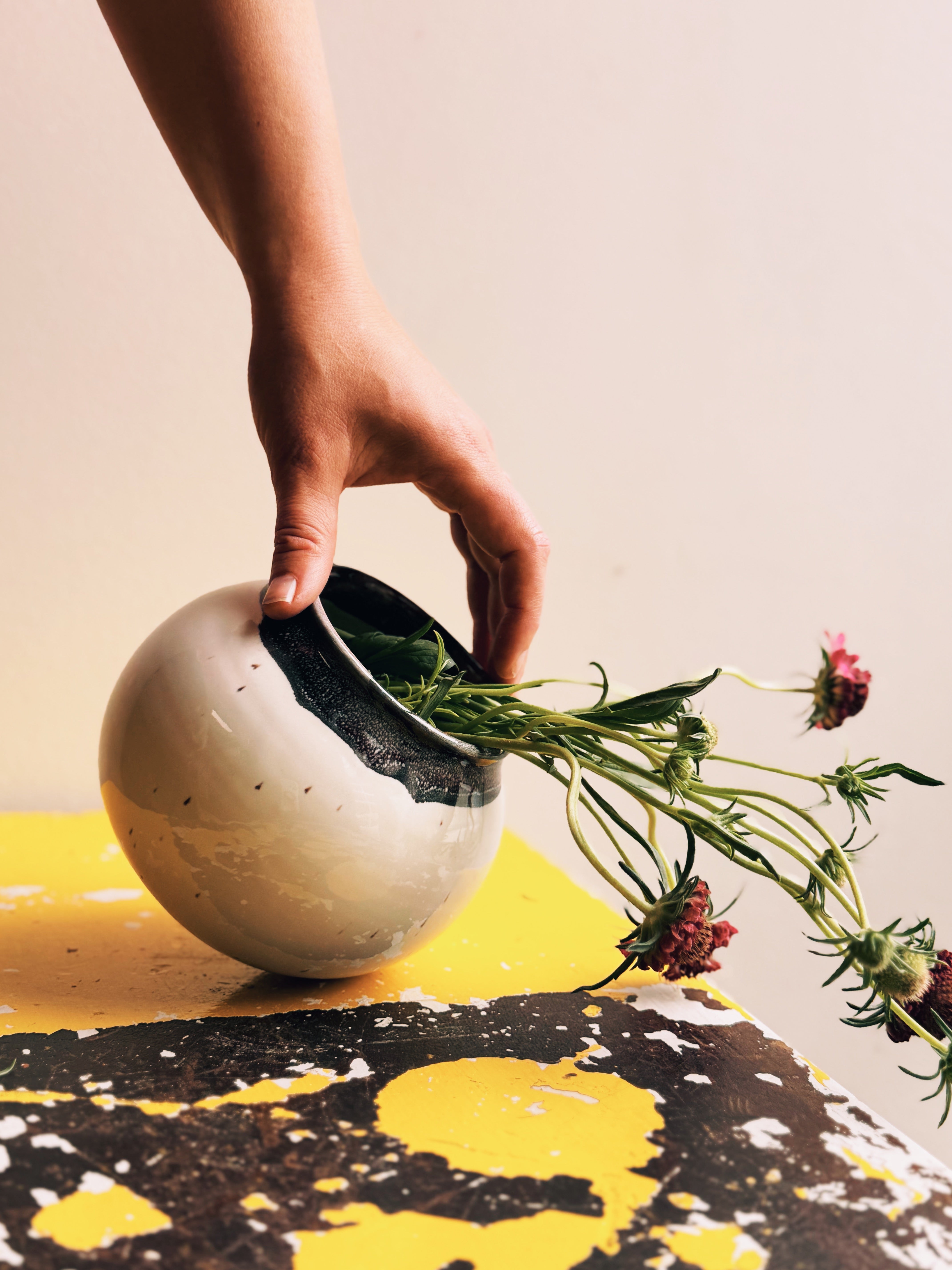 Black & White Vase 002