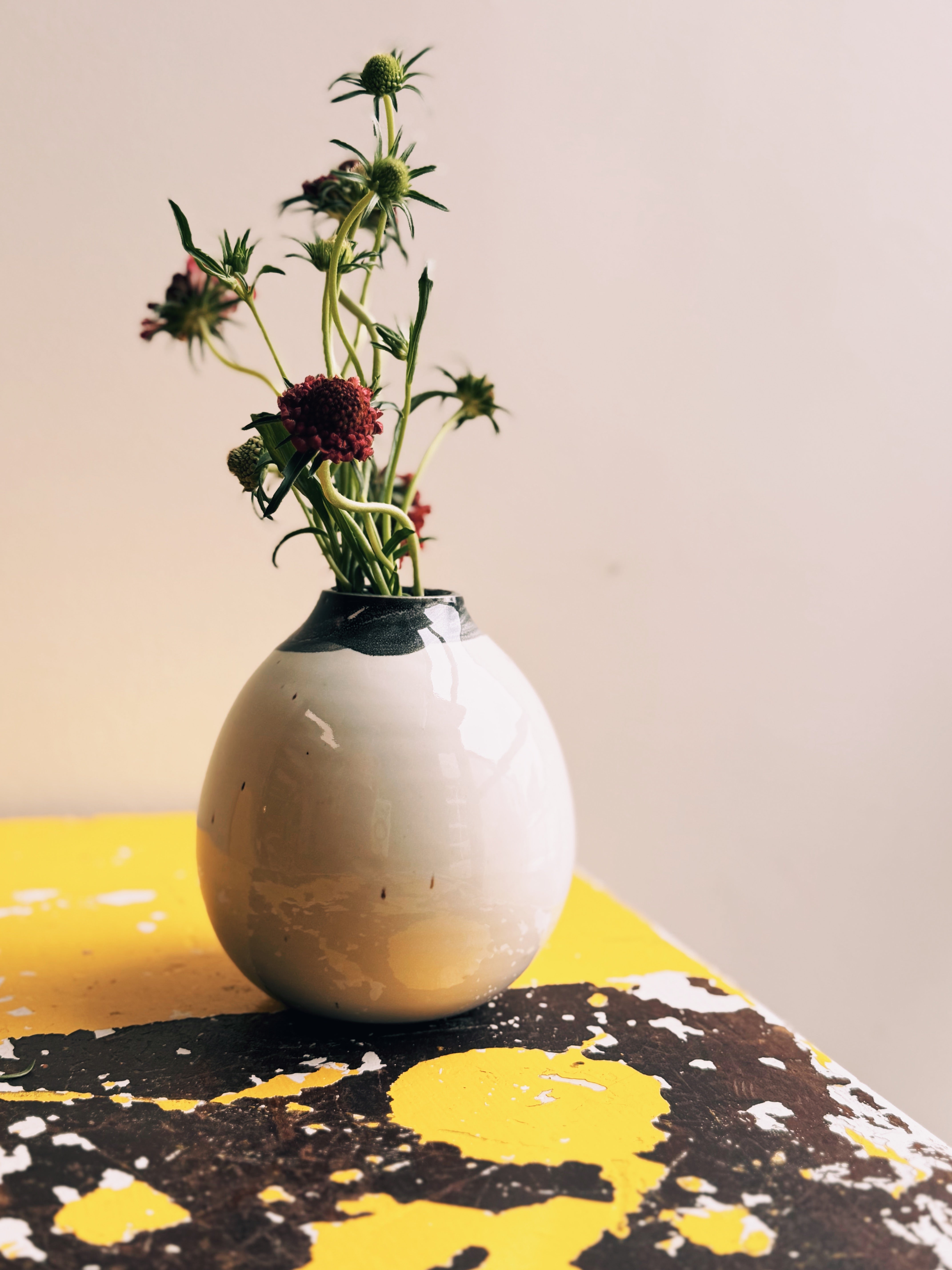 Black & White Vase 003