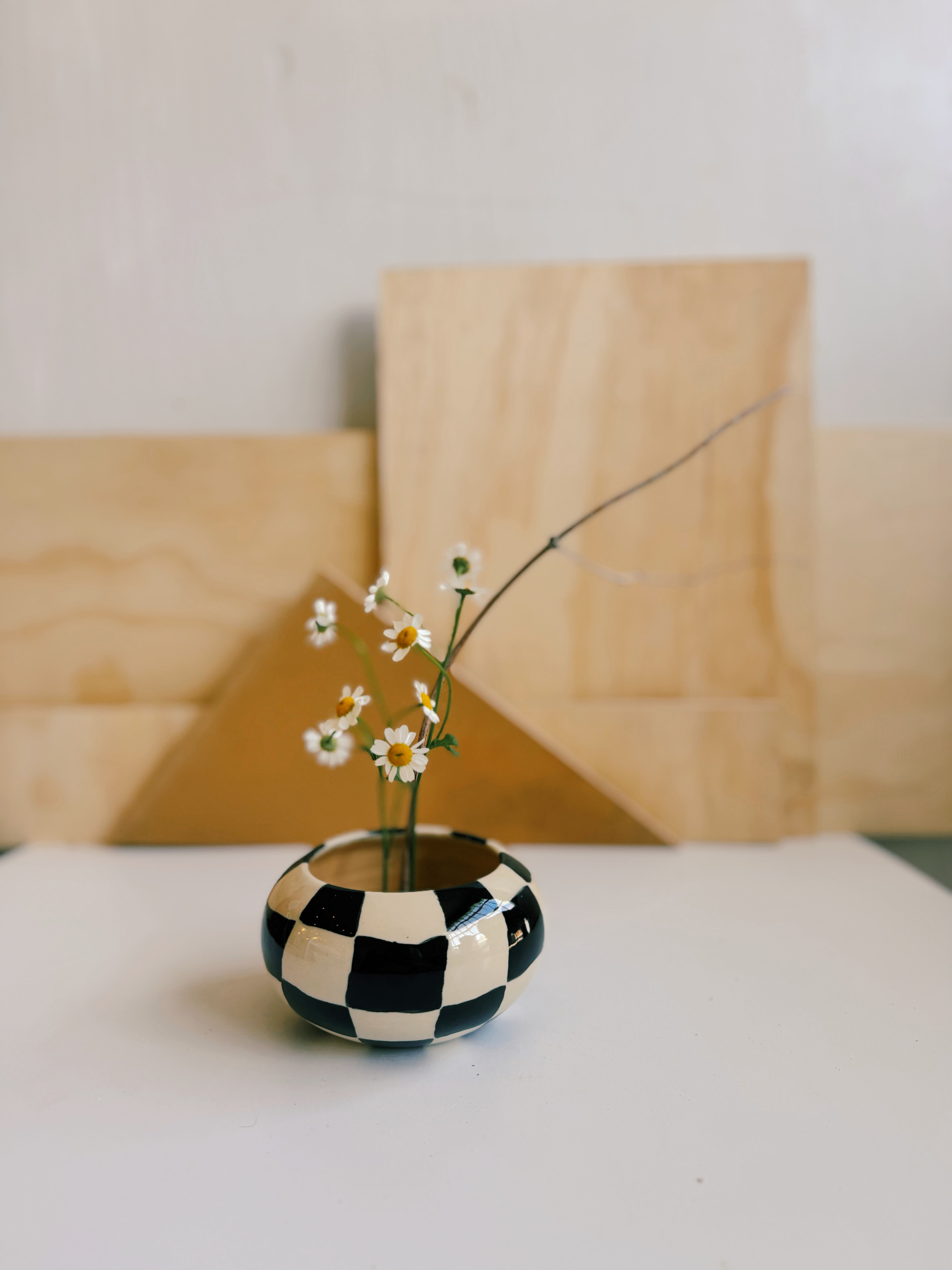 little checkered ikebana