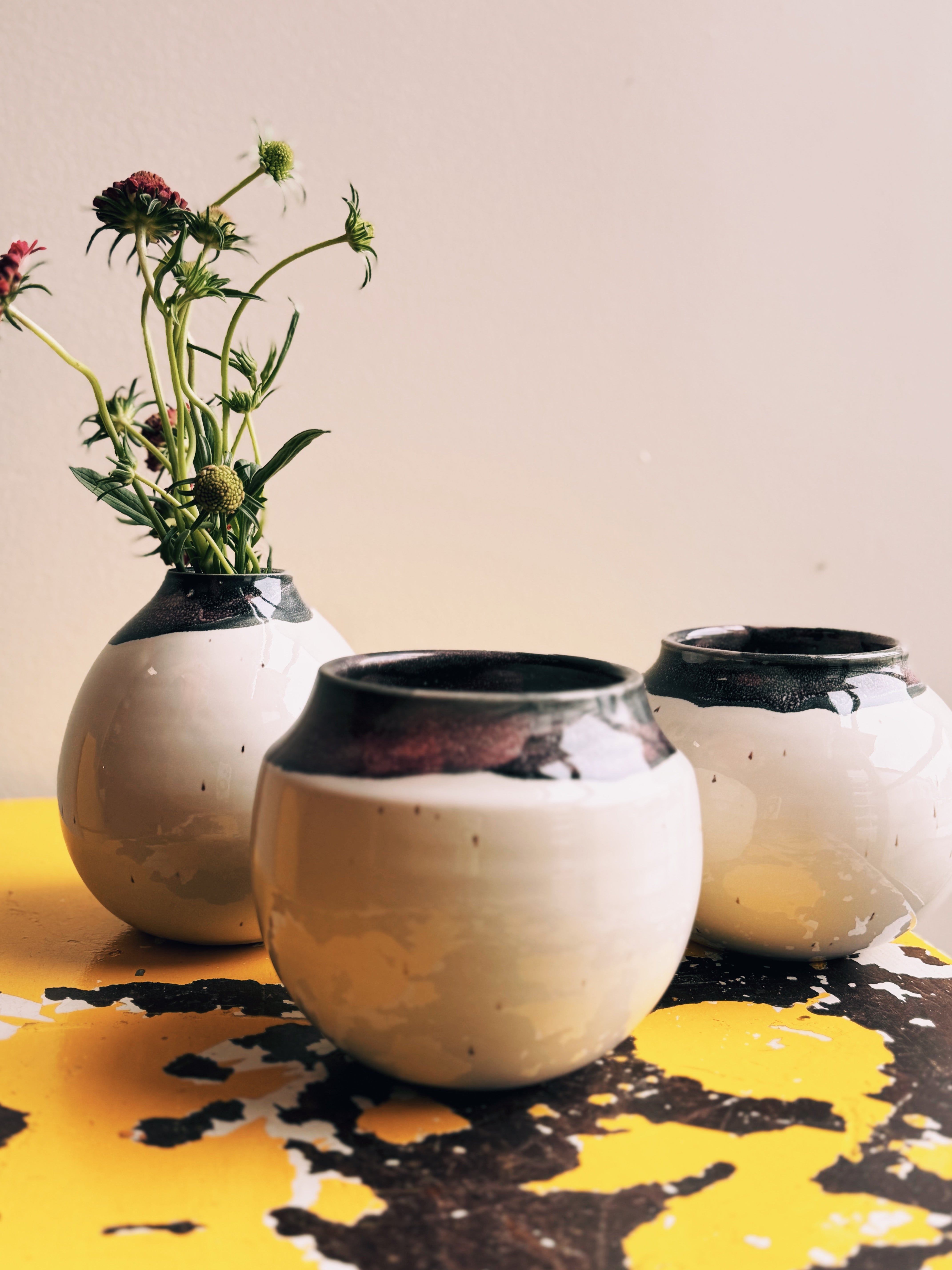 Black & White Vase 002