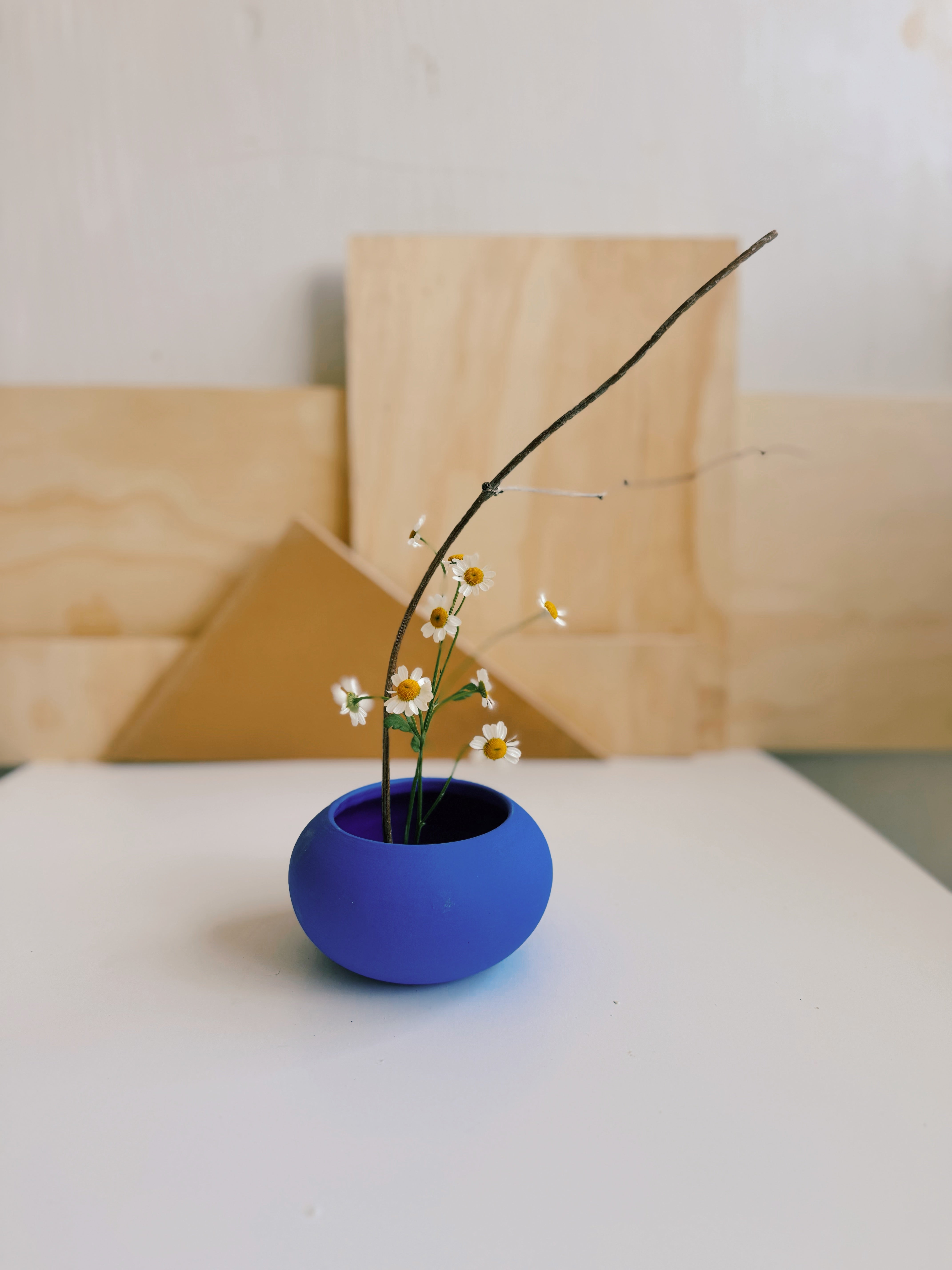 little cobalt ikebana