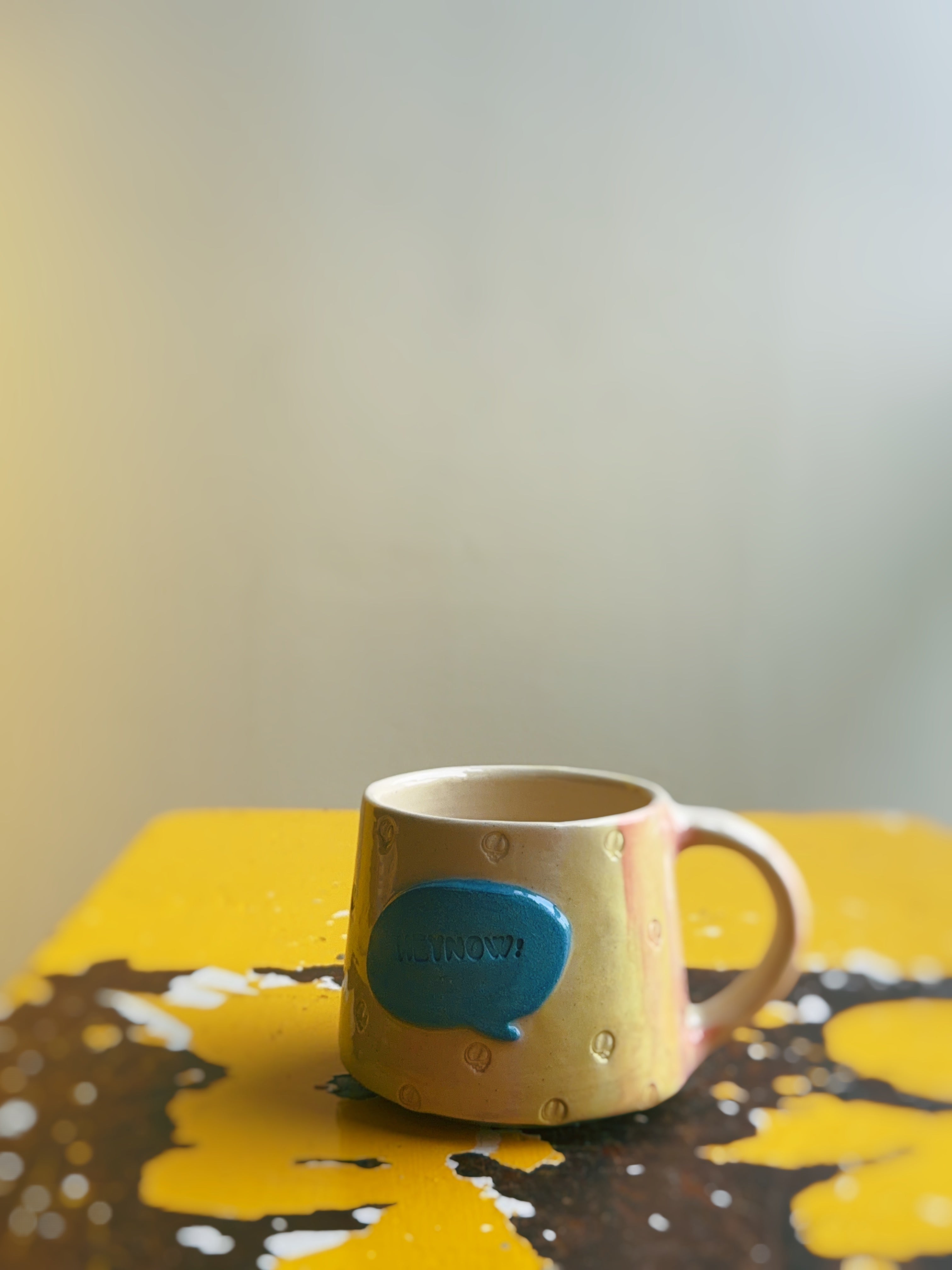HEYNOW! Stealie Mug No.1