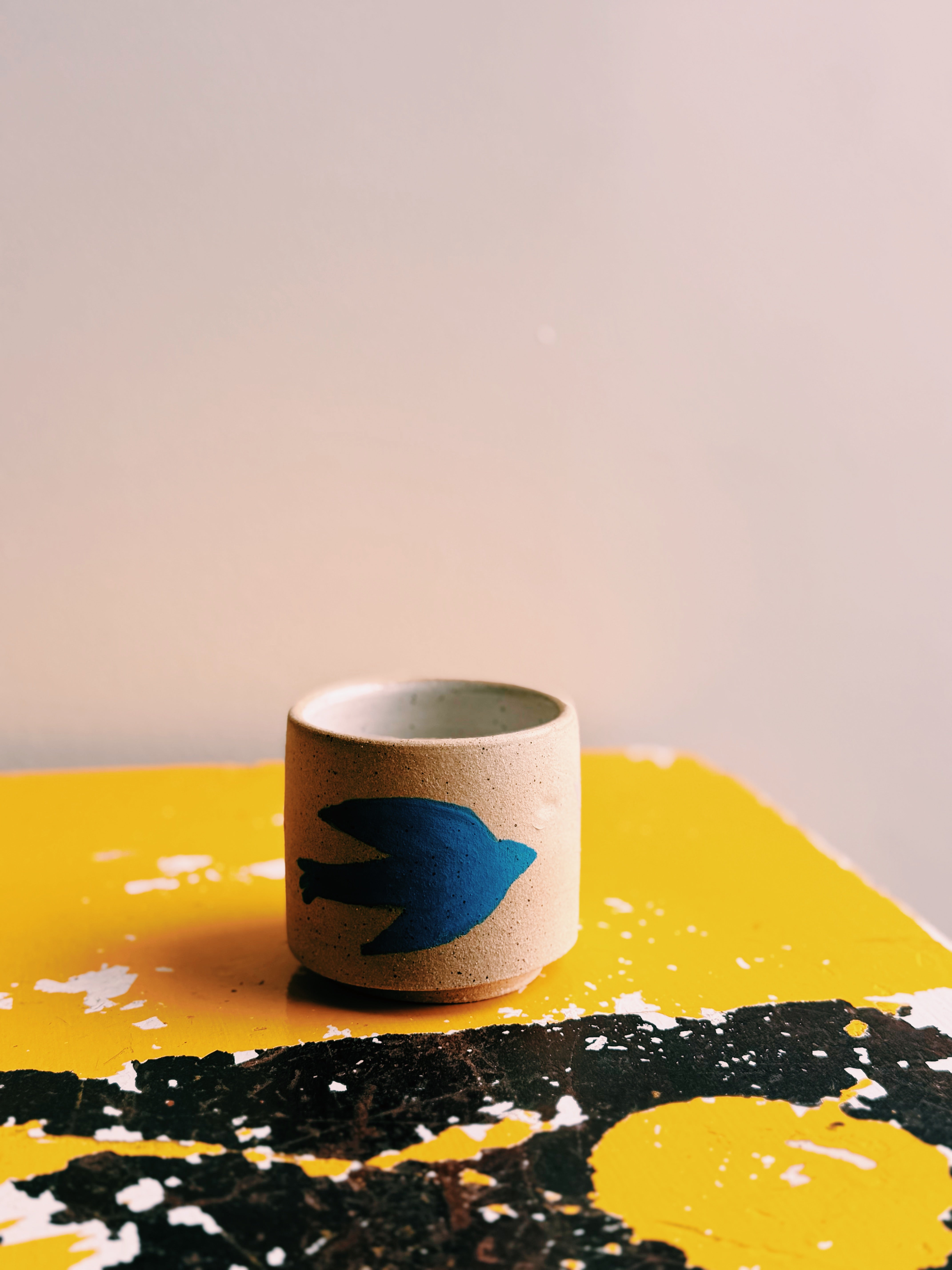 bird in stars cup