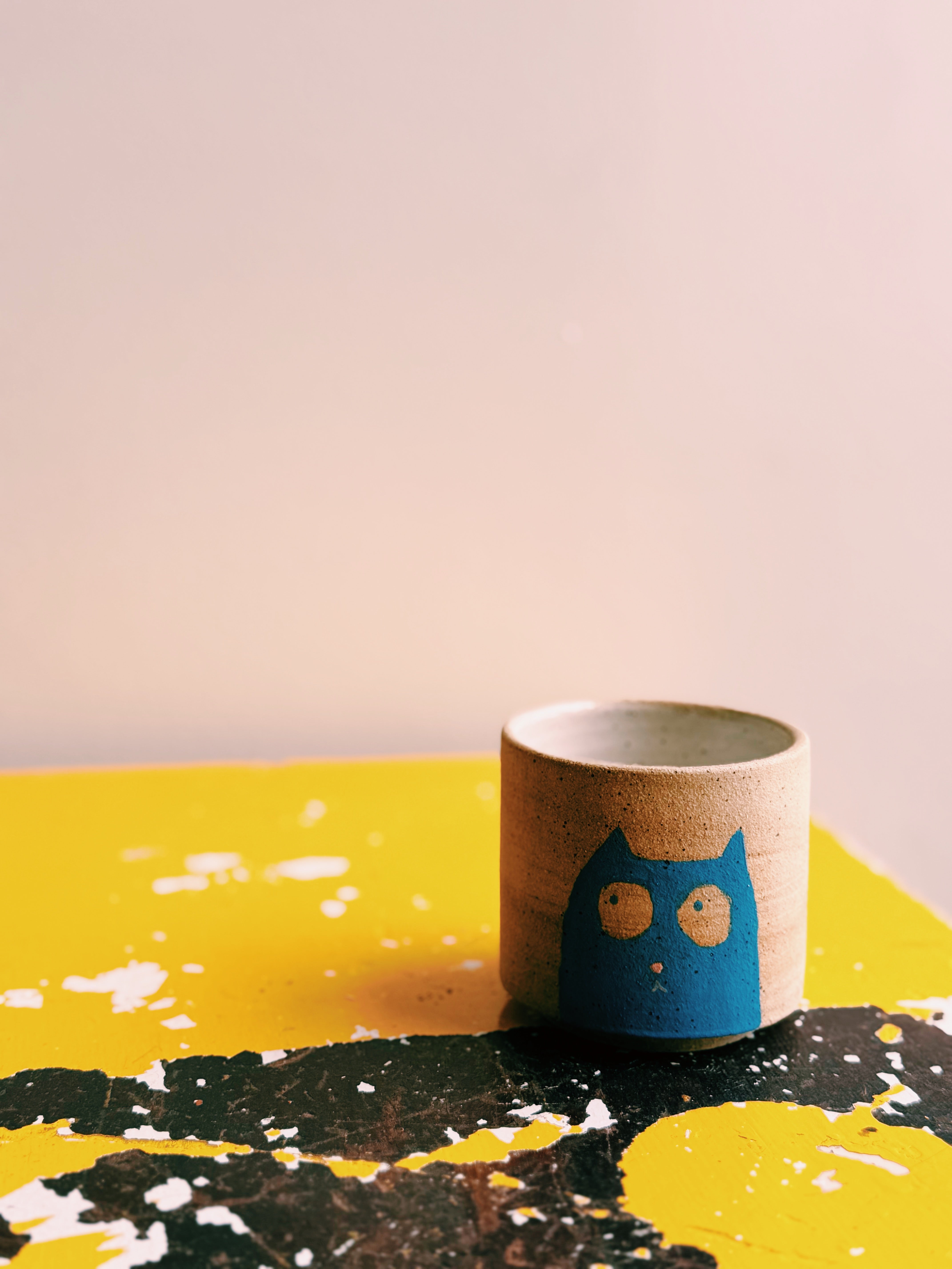 cat cup