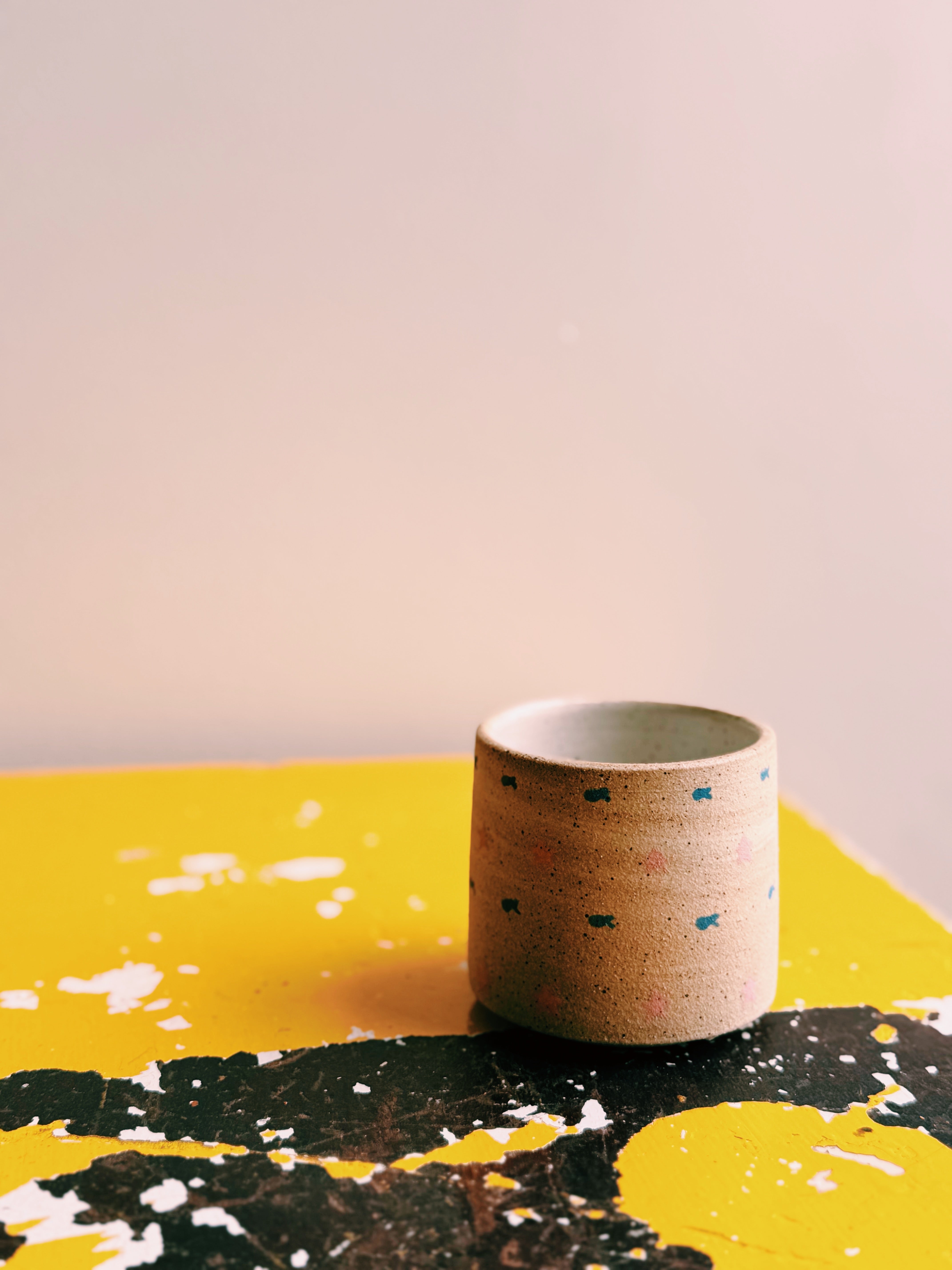 school of stars and fish cup